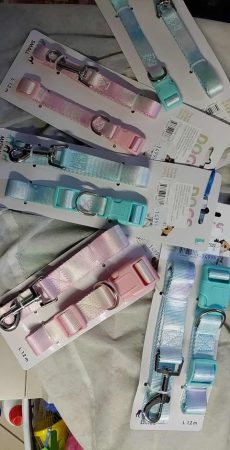 Kutyanyakörv pórázzal Kutyanyakörv pórázzal